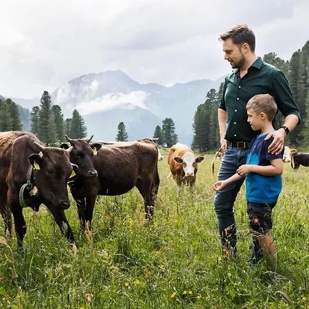 Fogadó Berggasthaus Hoellensteinhuette 3*