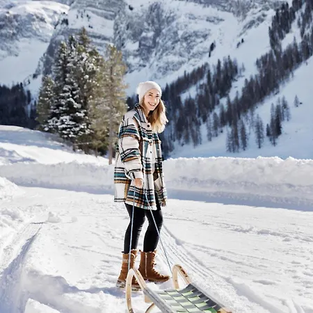 Berggasthaus Hoellensteinhuette