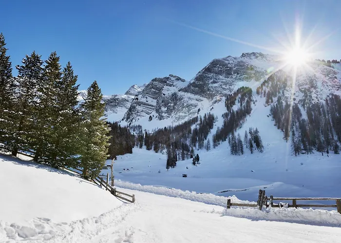 Berggasthaus Hollensteinhutte 3*